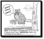 Speech Owl